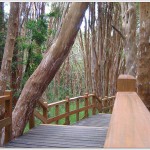 Parques Nacionales Argentinos