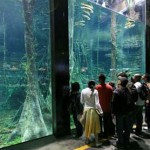 Acuario en Colombia