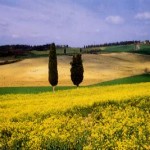 Toscana