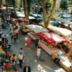 Curiosidades de la Provence para no perderse 