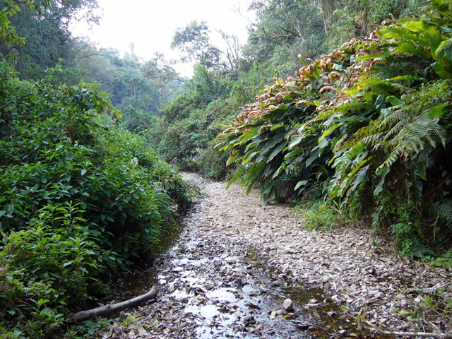 Parque Nacional Baritú