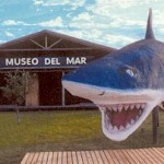 Museo del Mar - Uruguay