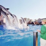 Sea World - Orlando
