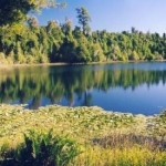 Los Lagos - Chile