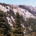 Parque Sierra de las Nieve