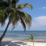 Belice - Baja California (Santuarios submarinos)