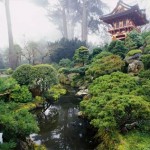 Parque Golden Gate - San Francisco