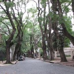 Tradiciones de San Isidro - Buenos Aires