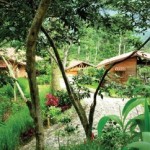 Hoteles con referencias locales