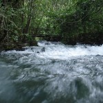 Bonito, una aldea ecológica que rinde culto a su nombre