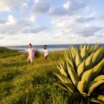 Islas Bahamas: entre lo ecológico y las nuevas tendencias