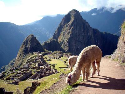 los-caminos-del-inca.jpg