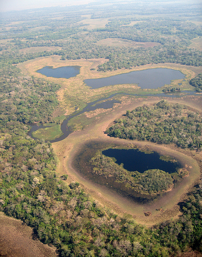 el-pantanal.jpg