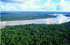 amazonia-5.jpg