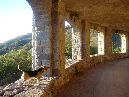 El Castillo de Mandl