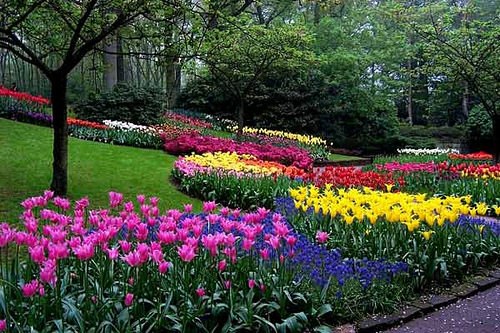 Jardines de Keukenhof