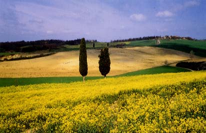 Toscana