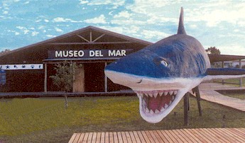 Museo del Mar