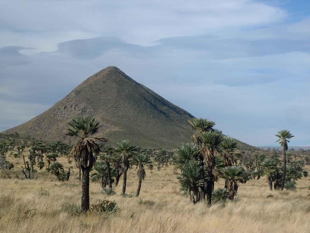 Pampas de Pocho