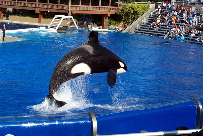 Sea World