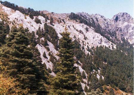 Sierra de las Nieves