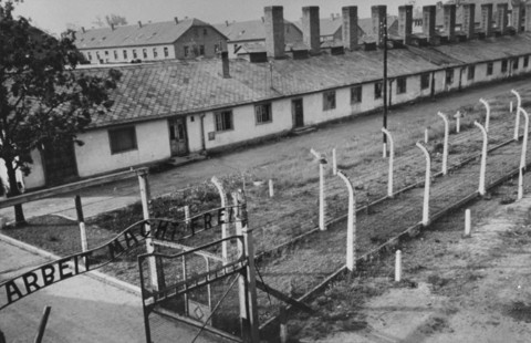 Campos de Auschwitz