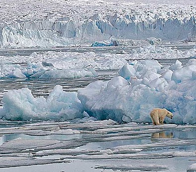 Spitsbergen