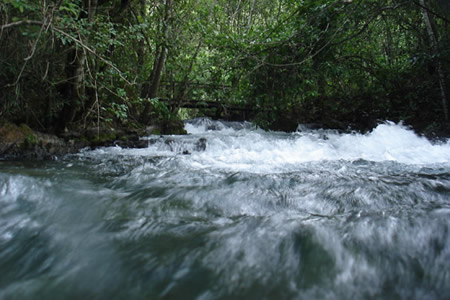 Bonito - Brasil