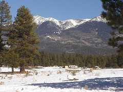 Bosque Nacional Cononino