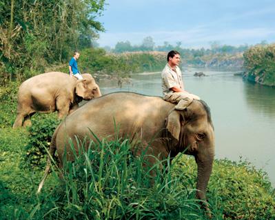 Four Seasons - Tented Camp Golden