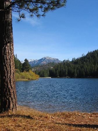 Parque Nacional de Sequoia