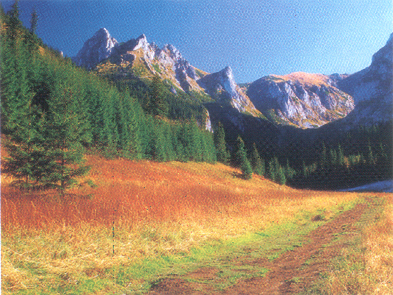 Zakopane