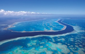 Arrecifes australianos
