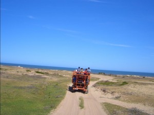 Cabo Polonio